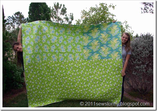 Nicey Jane Quilt Back