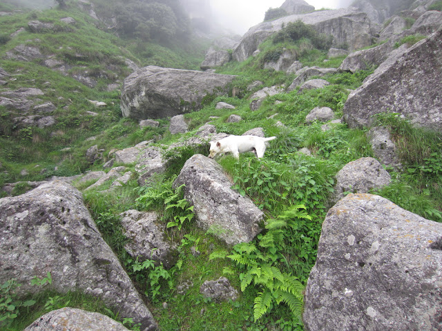 way to triund