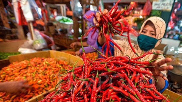 Makin Pedas!!! Cabai Tembus Rp 100 Ribu Sekilo, Daya Beli Menurun