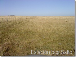 Estación bcp Salto
