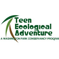 washington park conservancy teen ecological adventure