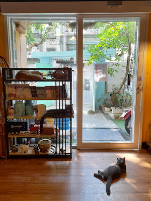 【永和貓咪咖啡廳】囧貓苑子｜烤餅、鹹派、甜點、Wi-Fi　店內環境