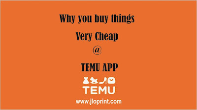 why temu is so cheap