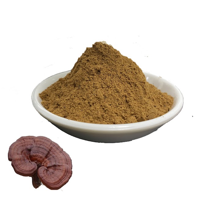 Buy Ganoderma Mushroom Extract online | Organic mushrooms | Biobritte mushrooms