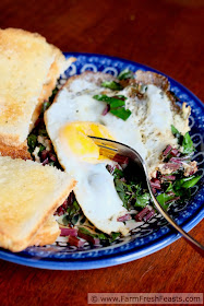 a breakfast plate of sautéed beet greens topped with a fried egg and toast