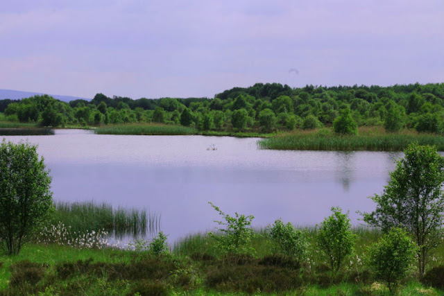 Lake at Lough Boora Discovery Park