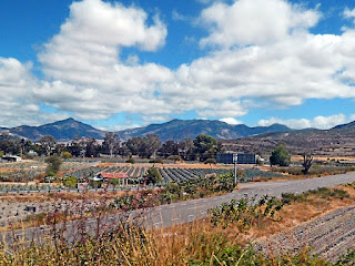 Oaxaca, Mexico - agave fields and mountains