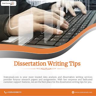 Dissertation Writing Tips