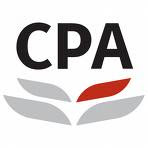 small business cpa