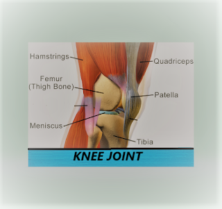 knee pain treatment