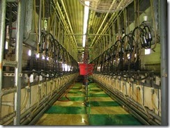 Milking barn 2