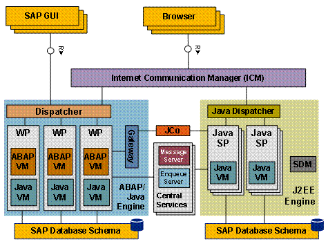 Sap System Hospital Information