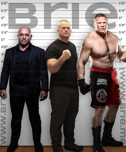 Jocko Willink standing with Joe Rogan and Brock Lesnar