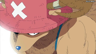 ワンピースアニメ ウォーターセブン編 234話 チョッパー Tony Tony Chopper | ONE PIECE Episode 234 Water 7