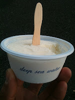 Deep water sea ice cream!