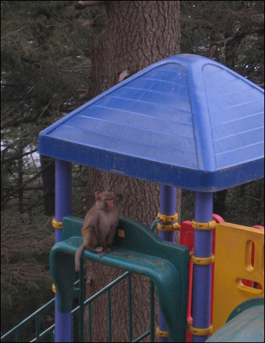 They Even Have a Playground