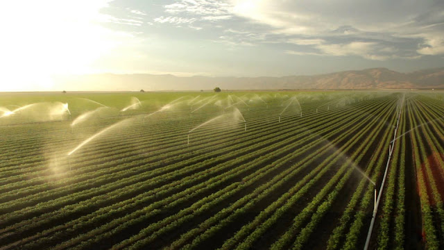 Agricultural Technology - Irrigation of plants