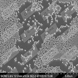 Non-functionalized silica nanoparticles 1µm