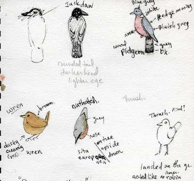 sketches of birds. These are simple sketches done