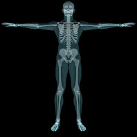 3d X ray3