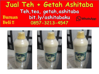 0857-3213-4547 Jual Getah Ashitaba Malang