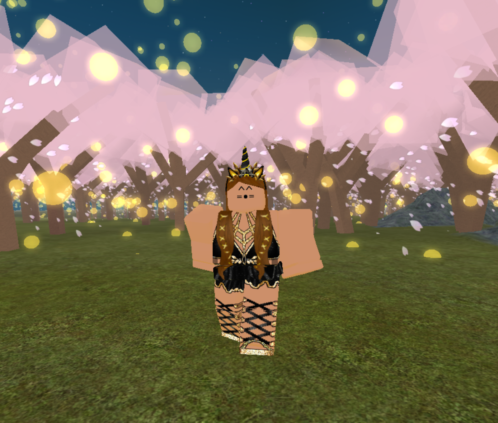 2019 New Year S Outfit - i took these photos in alexzana123 s build oo fireflies oo she is an amazing builder i really encourage you guys to check her work out she loves to build