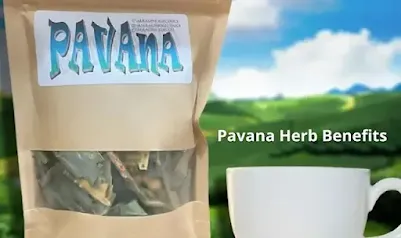 Pavana Herb Benefits