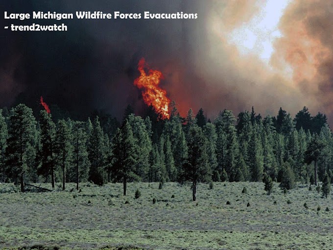  Large Michigan Wildfire Forces Evacuations: What You Need to Know