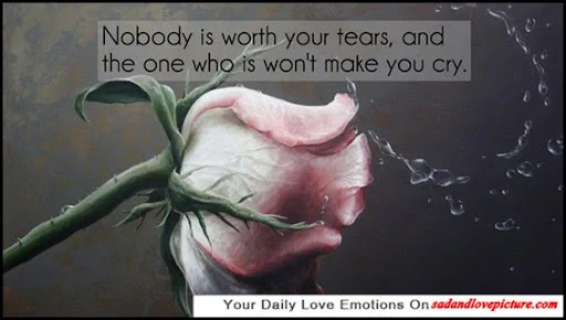 30+ Inspirational and cute love quotes with pictures