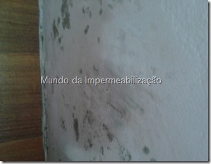 impermeabilizante parede (6)