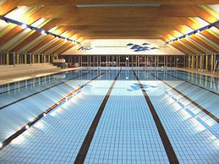 piscine hainaut mouscron les dauphins