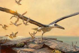 Aves gigantes extintas
