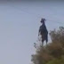 Photo: How in the world did this goat get entangled on an overhead cable?
