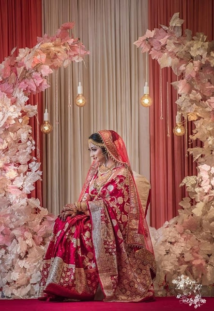 The Luxurious Banarasi Sarees