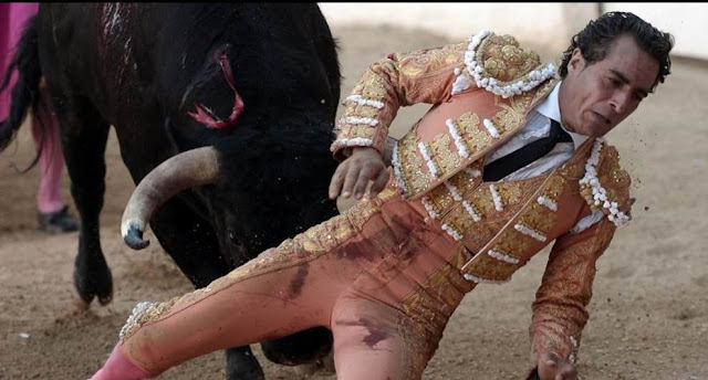 Cuando un toro mata a un torero, se mata a la madre y hermanos del toro.