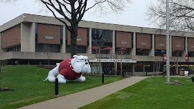 Boomer sits on the grass on the Dean campus