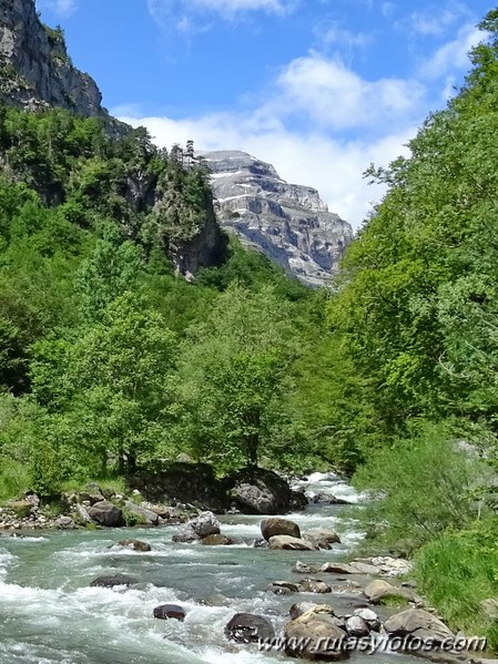 Cañón de añisclo - La Ripareta