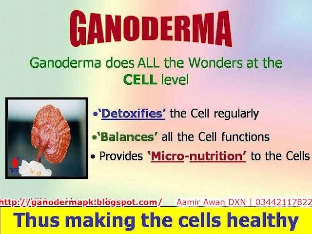 How Ganoderma Works