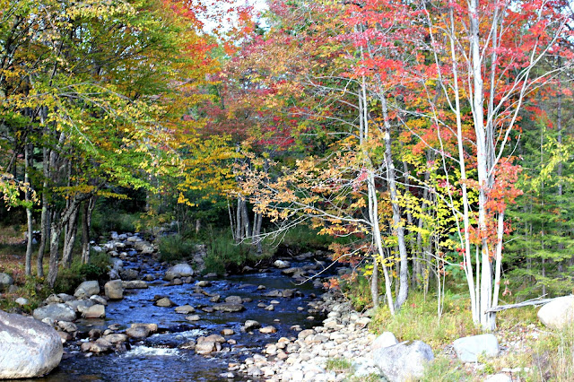 Fall foliage in the Adirondacks-www.goldenboysandme.com