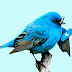 ADD STYLISH FLYING TWITTER BIRD WIDGET TO YOUR BLOG 