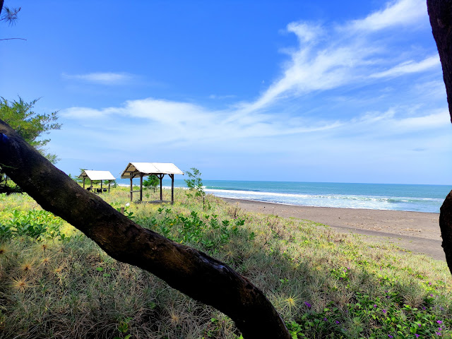 Pantai Ambal