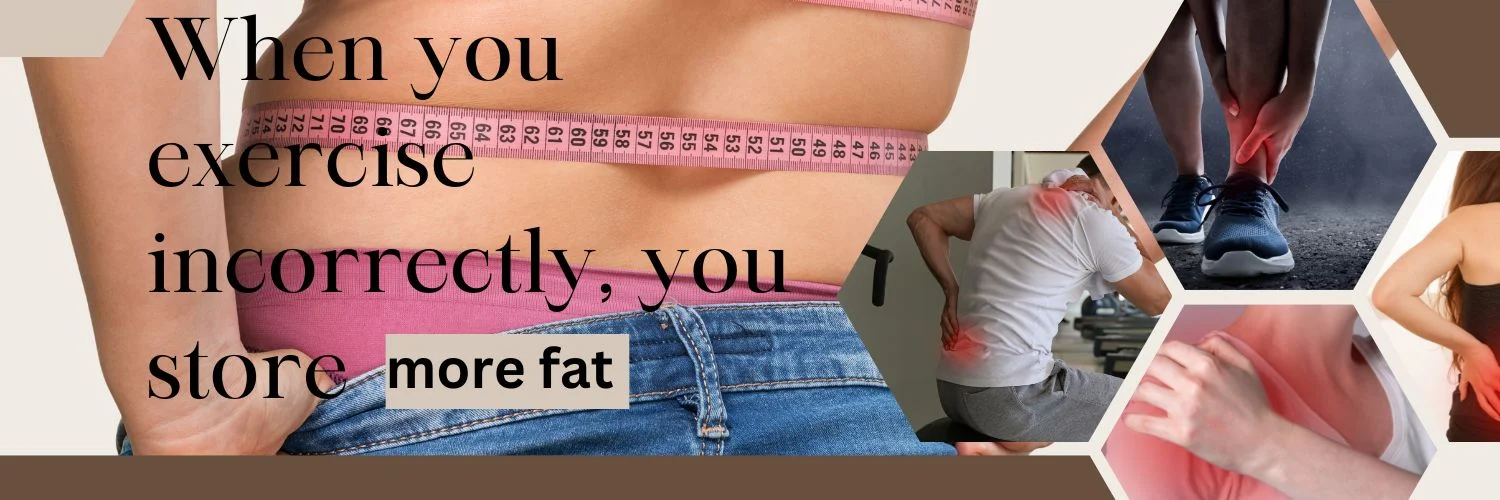 fat body