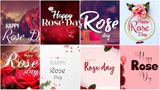 Happy Rose Day Photos