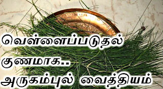 vellai paduthal Maruthuvam: வெள்ளைப்படுதல் நிற்க, பெண்களின் வெள்ளை படுதல் குறைய குணமாக அற்புத தீர்வுகள், nattu maruthuvam, Pregnancy tips in tamil, Natural treatments in Tamil, Natural Cure in Tamil, iyarkai maruthuvam 