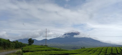 tempat wisata jambi