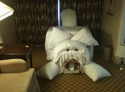 Funny Hotel Pranks Seen On coolpicturesgallery.blogspot.com