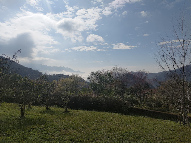 東眼山國家森林遊樂區 - 林道