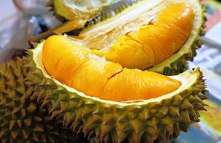 keunggulan durian musang king,durian musang king berbuah,durian musang king harga,klon durian musang king,durian raja musang,musang king raja kunyit,jarak tanam durian musang king,