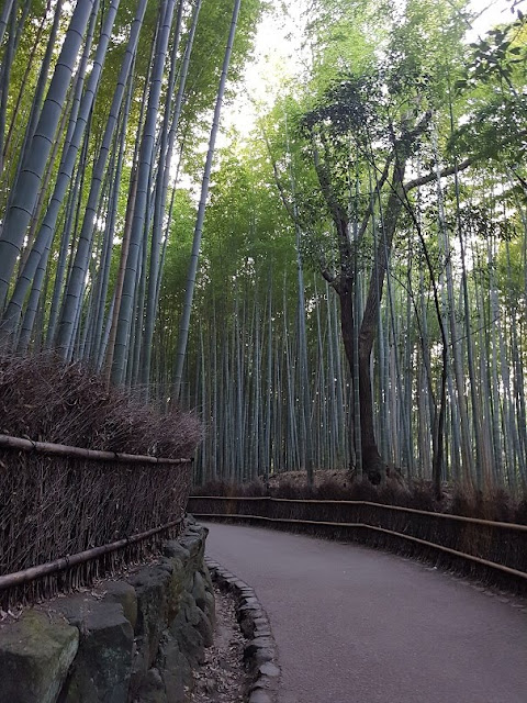 kyoto arashiyama bamboo grove