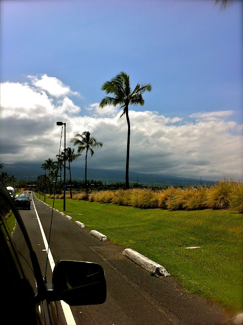 hawaii, kona, vacation, palm trees, driving